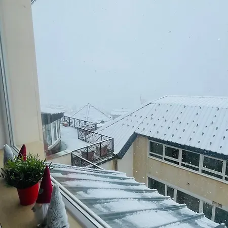 House View Premium 1 6 Pax Daire